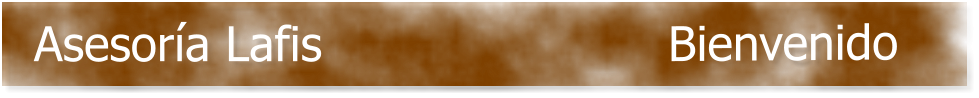 Bienvenido Asesor�a Lafis